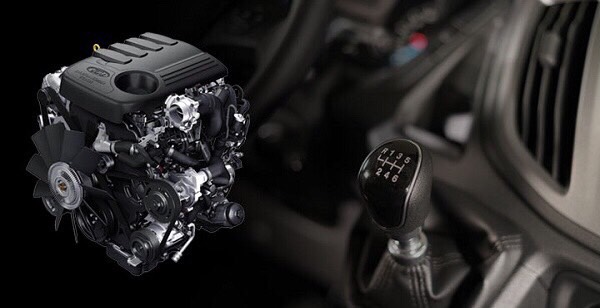 Showroom xe Gia Định Ford